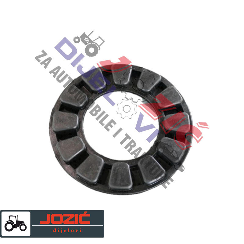 Daisy on the Ohoopee